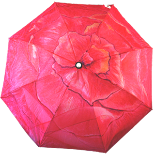 Huia Ann Art Custom Umbrella's