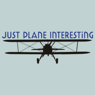 Just Plane Interesting Site Logo made by Mayta designs